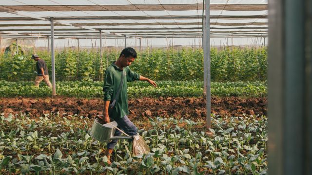 Agroecological farm at Happy Chandara campus – Toutes à l’école