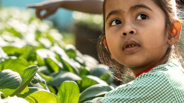 Solidarity Round-Up Aroma-Zone 2025 – Toutes à l’école
