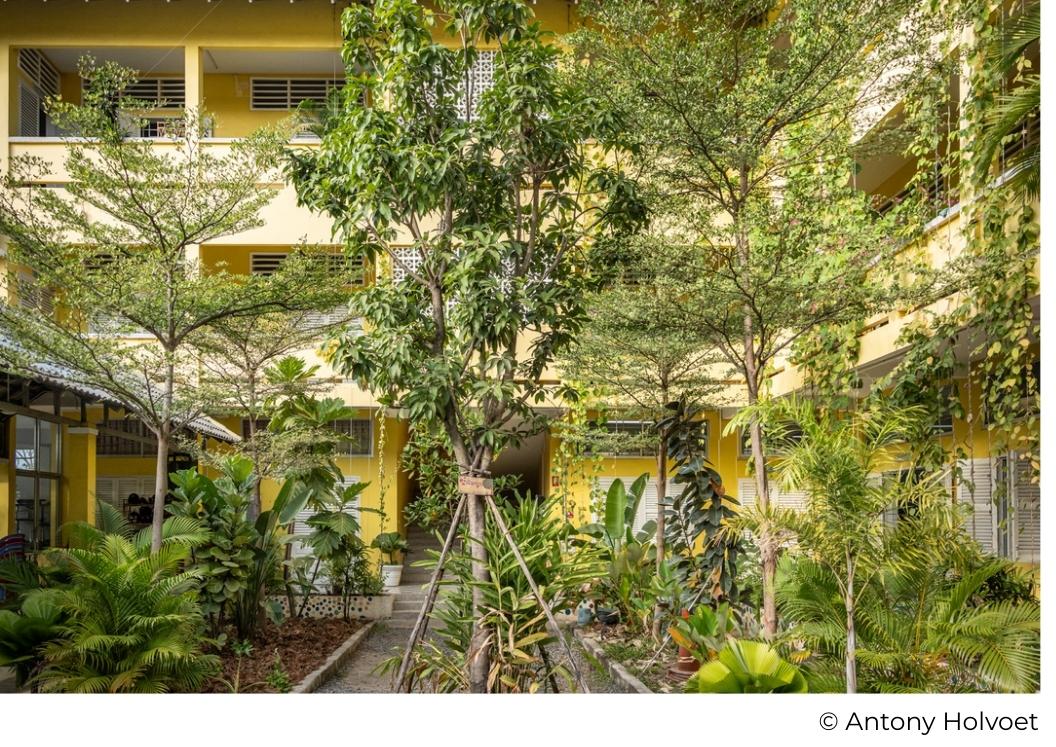 Ecological greening against heat on the Happy Chandara campus