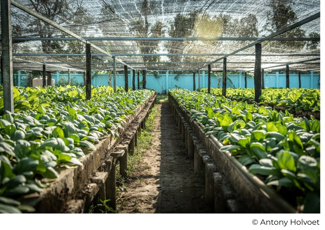 Chiffres clés de l’engagement écologique du campus Happy Chandara
