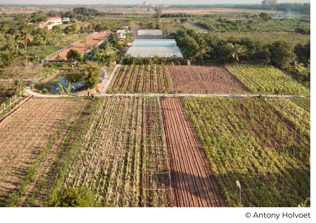Ferme agroécologique et ateliers de permaculture sur le campus Happy Chandara